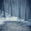 Forest (+$10)