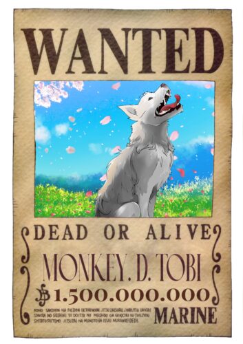 Anime-style portrait illustration, expressive one piece wanted poster style, in an action-packed pose.